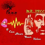 Artwork für "I Can Hear Your Voice"