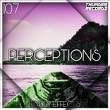 Artwork for "Perceptions"