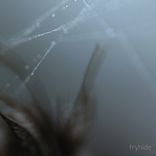 Artwork for "Fountayne EP"