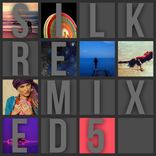 Portada para "Silk Remixed 05"