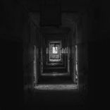 Artwork für "Phases"