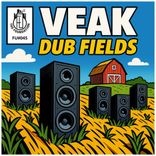 Artwork for "Dub Fields"