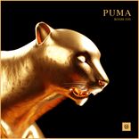 Artwork for "Puma"