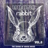 Artwork for "House Rabbit Vol. 8"