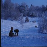 Portada para "Winter Dream Chill"