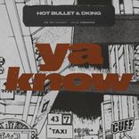 Artwork voor "Ya Know"
