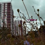 Artwork for "Executive Outcome (extnddntwrk Remix)"