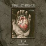 Artwork für "Soul at Peace"