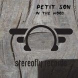 Portada para "In the wood"