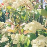 Artwork for "Insight"