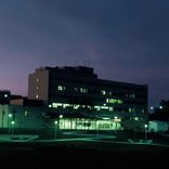 Artwork voor "Alone"