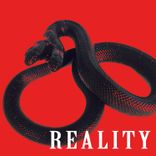 Artwork for "Reality"