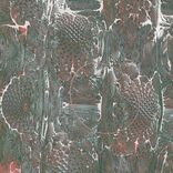 Portada para "Radio galaxia"