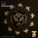 Portada para "Pixelghost"