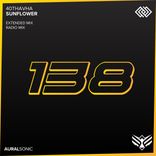 Artwork for "Sunflower"