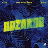 Artwork for "Gozando"