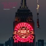 Artwork for "You Won't Bring Me Down"