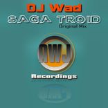 Artwork for "Saga Troid"