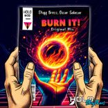 Portada para "Burn It!"