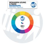 Artwork voor "Raindrops"