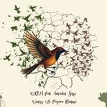 Artwork for "Wings (La Payara Remix)"