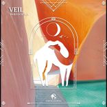 Artwork für "Veil"