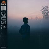Artwork voor "Dusk"