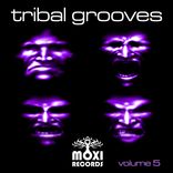 Artwork for "Tribal Grooves, Vol. 5"