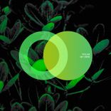 Artwork for "My Crew"