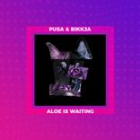 Artwork für "Aloe Is Waiting"