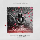 Artwork für "What You Want (The Remixes)"