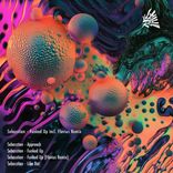 Artwork für "Funked Up incl. Flavius Remix"