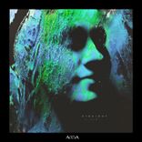 Portada para "Straight"