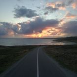 Artwork für "Tiquepeco"