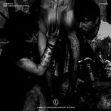 Portada para "REEK THROUGH VOGEL’S EYES"