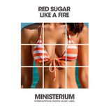 Portada para "Like A Fire"