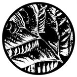 Portada para "Ancient Echoes EP"