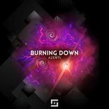 Artwork für "Burning Down"