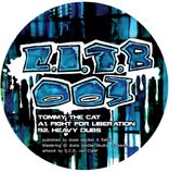 Artwork voor "When The Cat From The House Is"