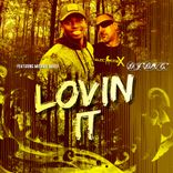Portada para "Lovin It"