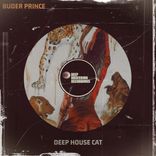 Artwork for "Deep House Cat"
