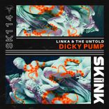 Artwork for "Dicky Pump"