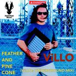 Feather and Pine Cone