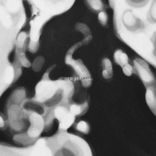 Conversation (with Lay-Far)