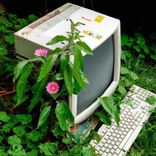 Artwork for "IT WON’T DO (MAFRO Remix)"