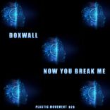 Portada para "Now You Break Me"