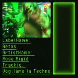 Portada para "Vogliamo la Techno"
