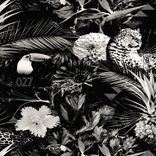 Artwork for "Glass House"