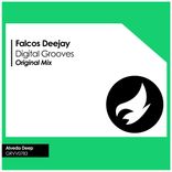 Artwork for "Digital Grooves"