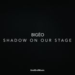 Shadow On Our Stage